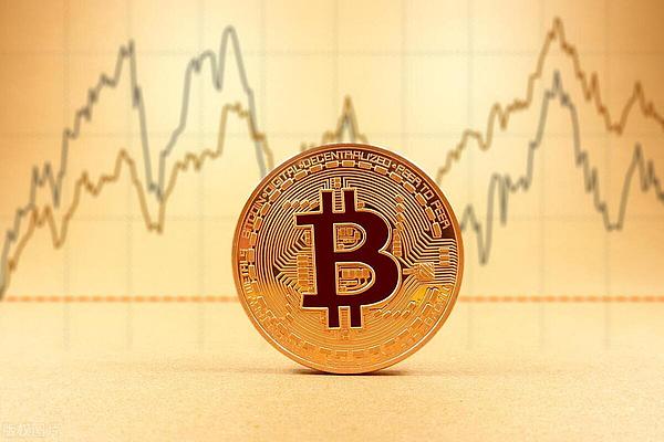 当区块链遇上毛小孩：CoinW在香港用爱心点亮中秋