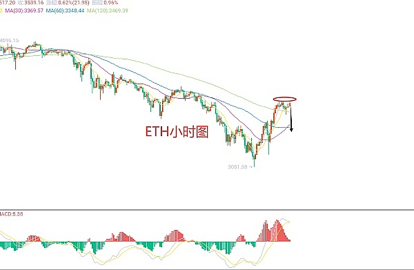 TOKEN2049观察手记：加密世界的众生相