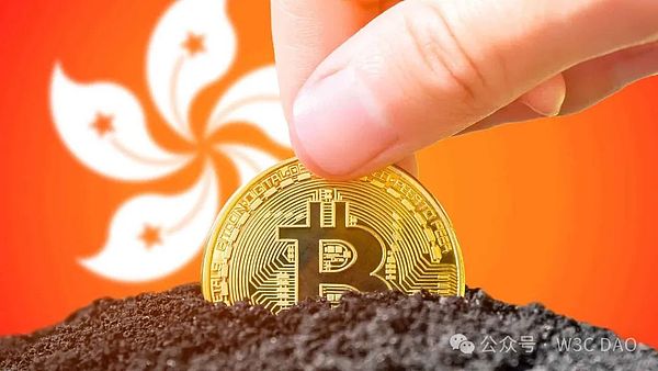 当稳赚不赔遇上区块链：揭秘那些披着科技外衣的金融骗局