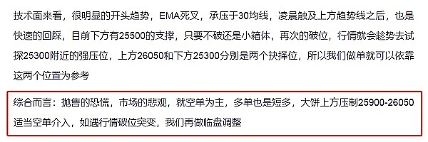 AlveyChain又有大动作！链上数据追踪工具即将亮相